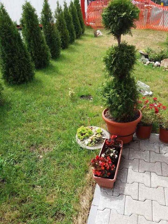 Lufi Penthouse Apartment Златибор Экстерьер фото